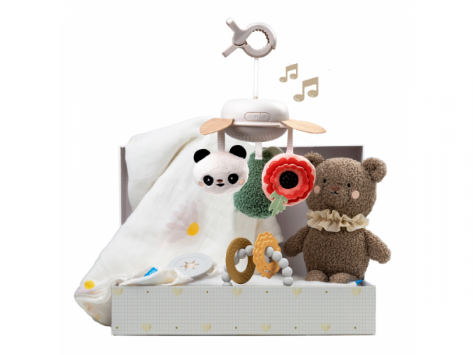 Taf Toys Sada hraček Newborn Luxe